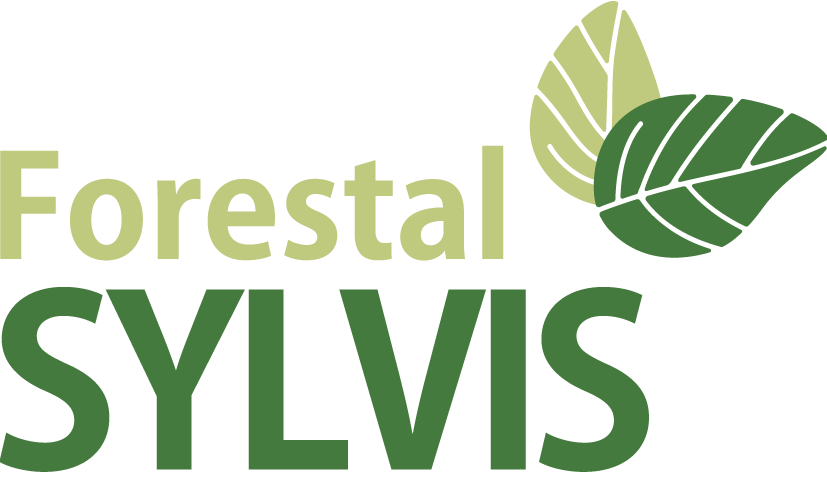 logo-fullcolor-e1746219445546