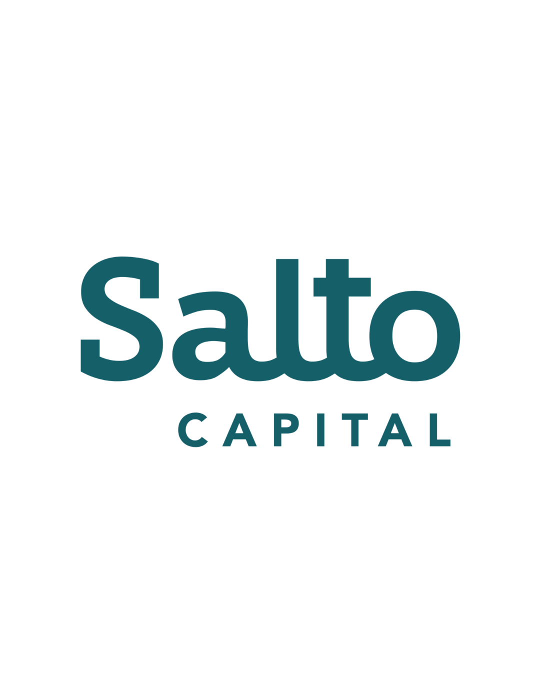 salto capital